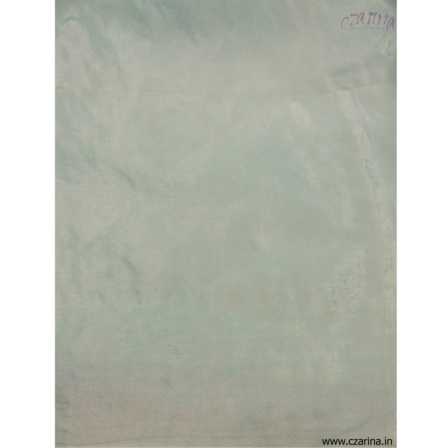 LIGHT BLUE EMBROIDERED ORGANZA SAREE